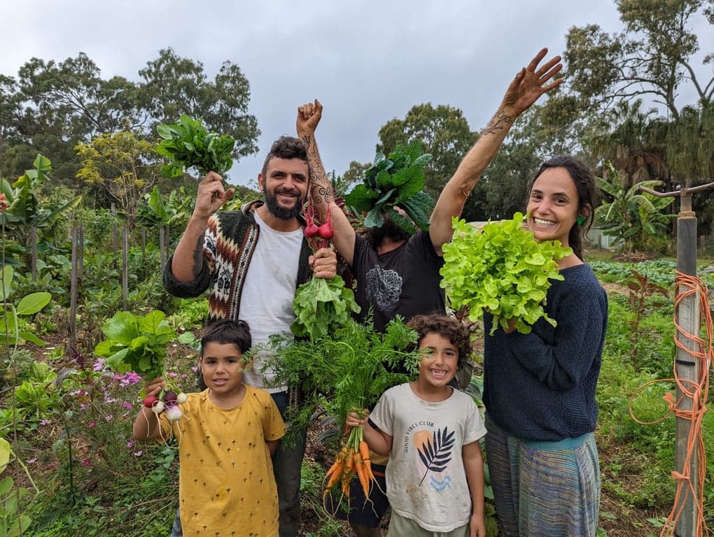 High Valley Dawn Permaculture Farm Stay – Horses Welcome, Rosslyn, QLD (photo 10)