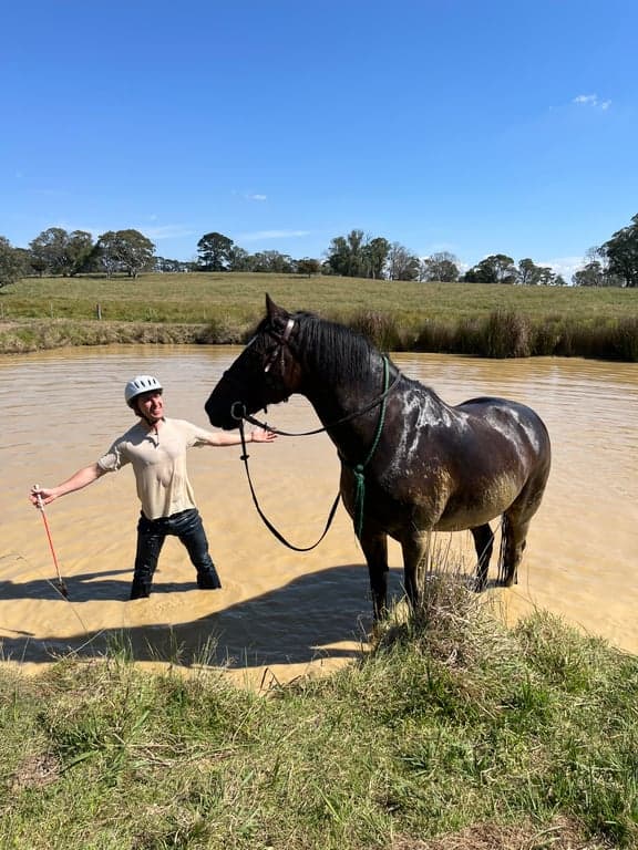 Farm Stay at Holiday with your horse, dog and besties., Avoca, NSW (photo 3)