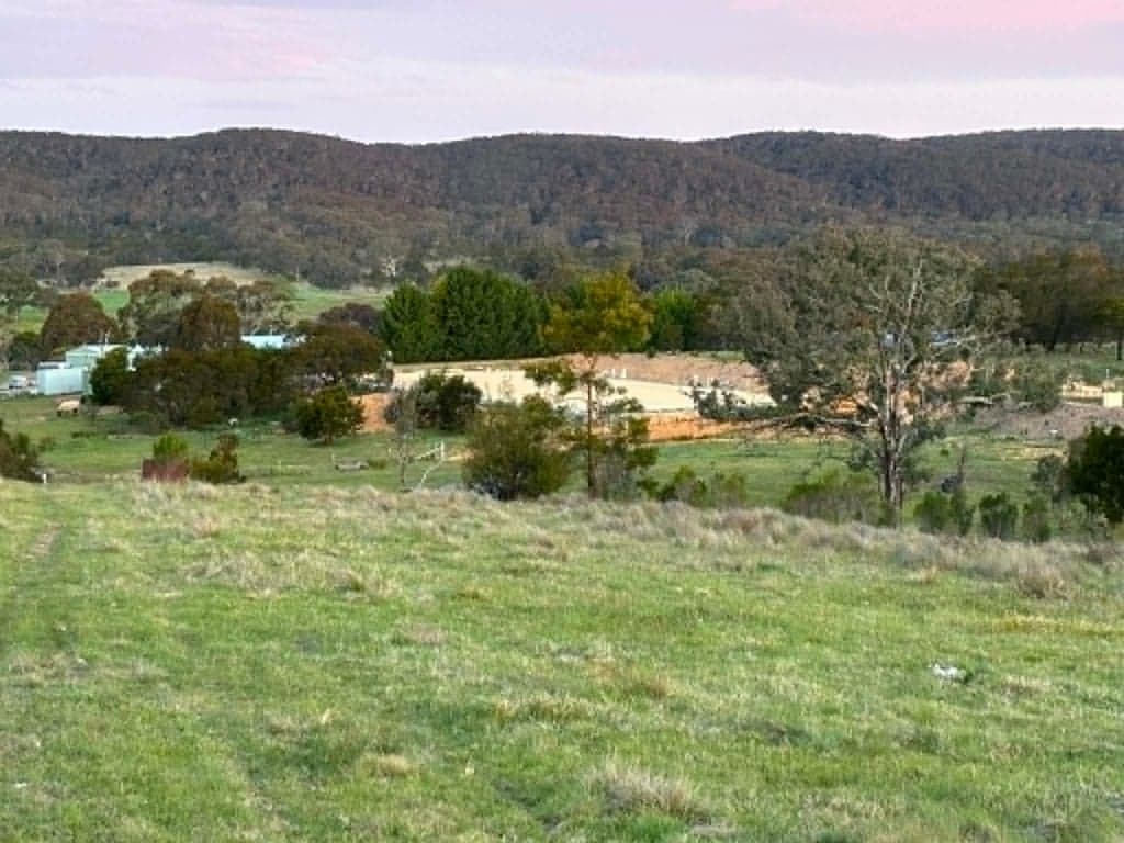 Overnight/short term stays offered for horses., Yarra, NSW (photo 6)