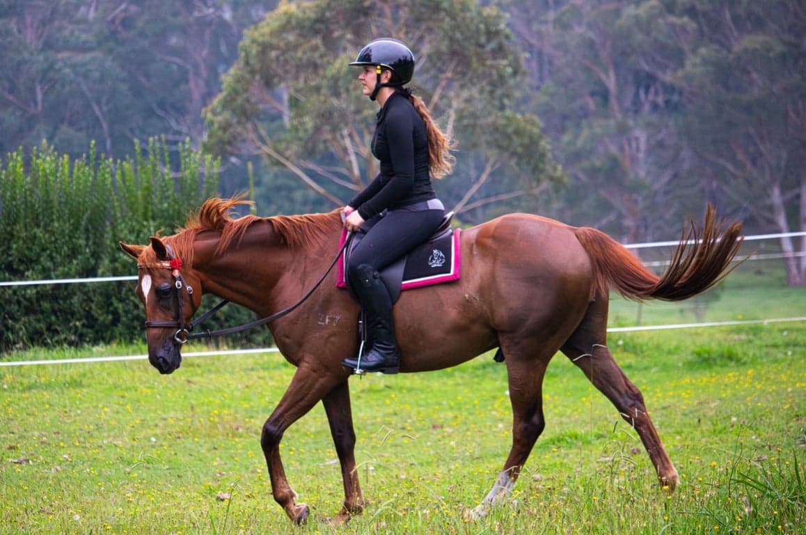Farm Stay at Stay in our bunkhouse and enjoy a peaceful ride, Fitzroy Falls, NSW (photo 4)
