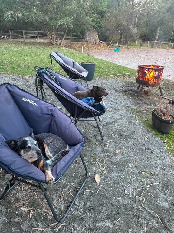 Farm Stay at Tuart Forest trails, & facilities amongst a peaceful setting, Stirling Estate, WA (photo 7)
