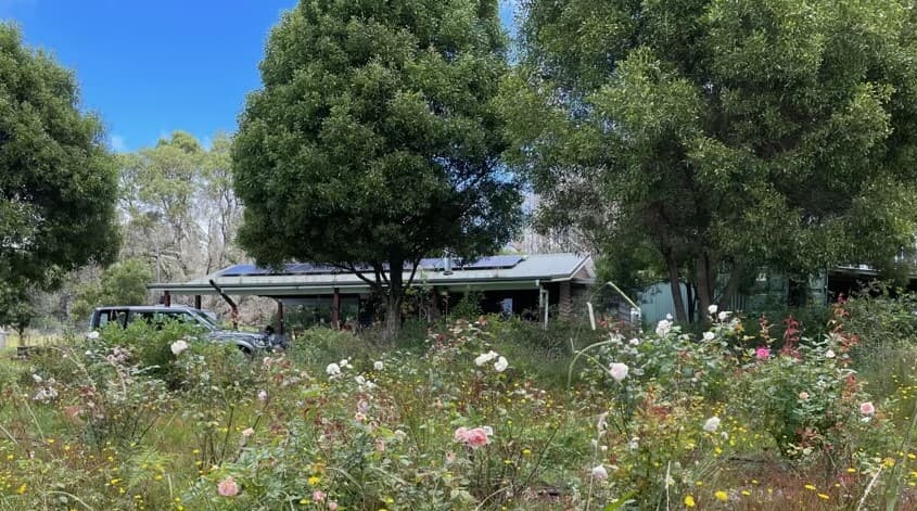 Farm Stay at Cabin and Horse Stay on the Escarpment, Sassafras, NSW