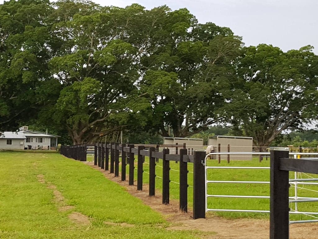 Farm Stay at Equine Bed and Breakfast. A perfect mini-break, Mullumbimby, NSW (photo 3)