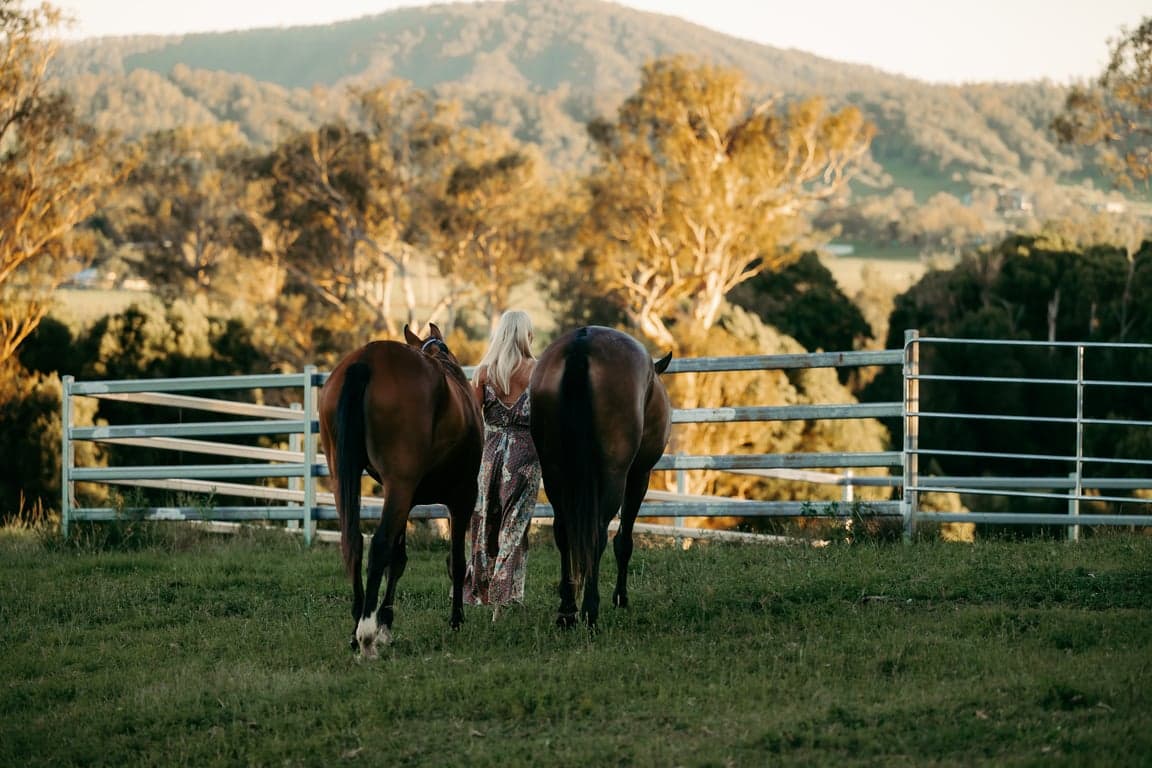 BYO Horse Farmstay – Scenic Trails & Open Pastures, Fawcetts Plain, NSW (photo 5)
