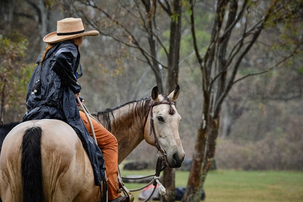 Farm Stay at Holiday with your horse! Accomodation option #1, Mooralla, VIC (photo 3)