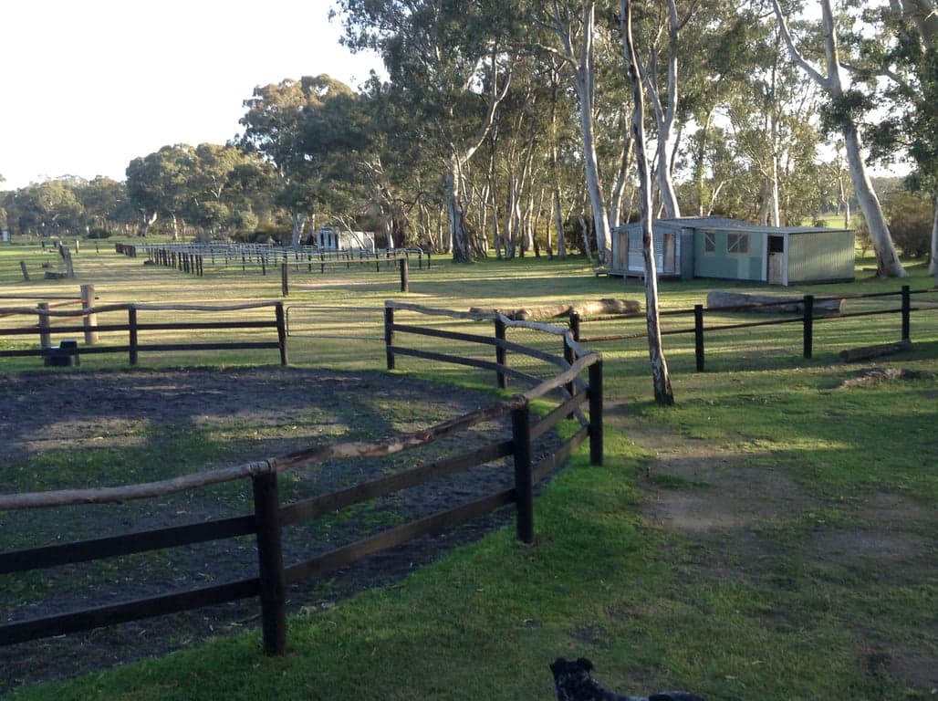 Campsite amenities + large overnight yarding for horses, Mooralla, VIC (photo 3)