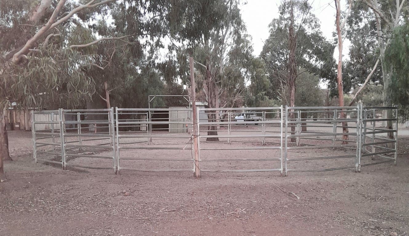 Overnight and short stays for you and your horse., Allendale North, SA (photo 6)