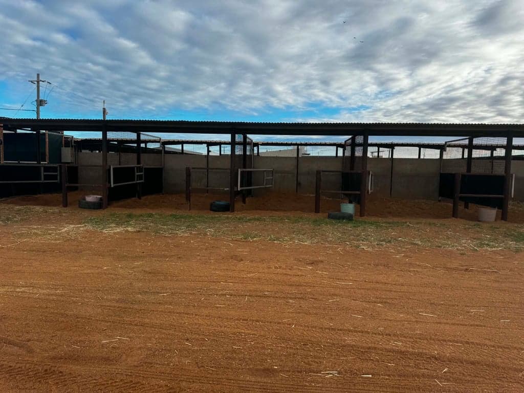 Overnight Yards, Massey Bay, WA (photo 6)