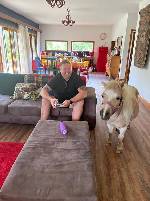 Farm Stay at Holiday with your horse, dog and besties., Avoca, NSW (photo 5)