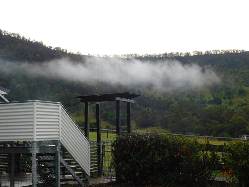 Farm Stay at Bring your own horse, access to wonderful trail rides, Yangan, QLD (photo 8)