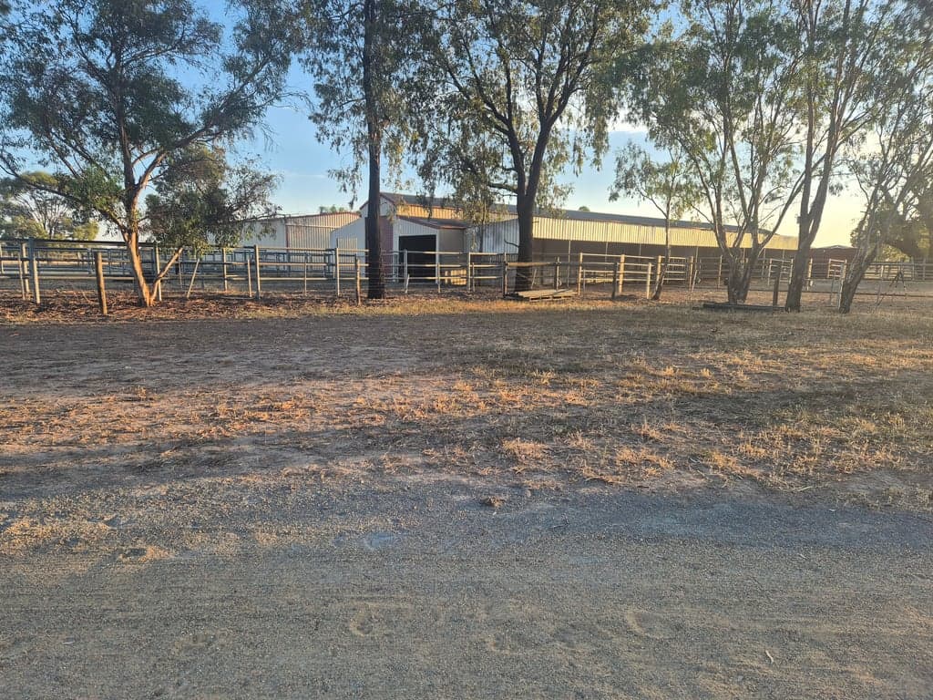 Farm Stay at Quiet, calm environment for horse & human stays, Arcadia, VIC (photo 6)