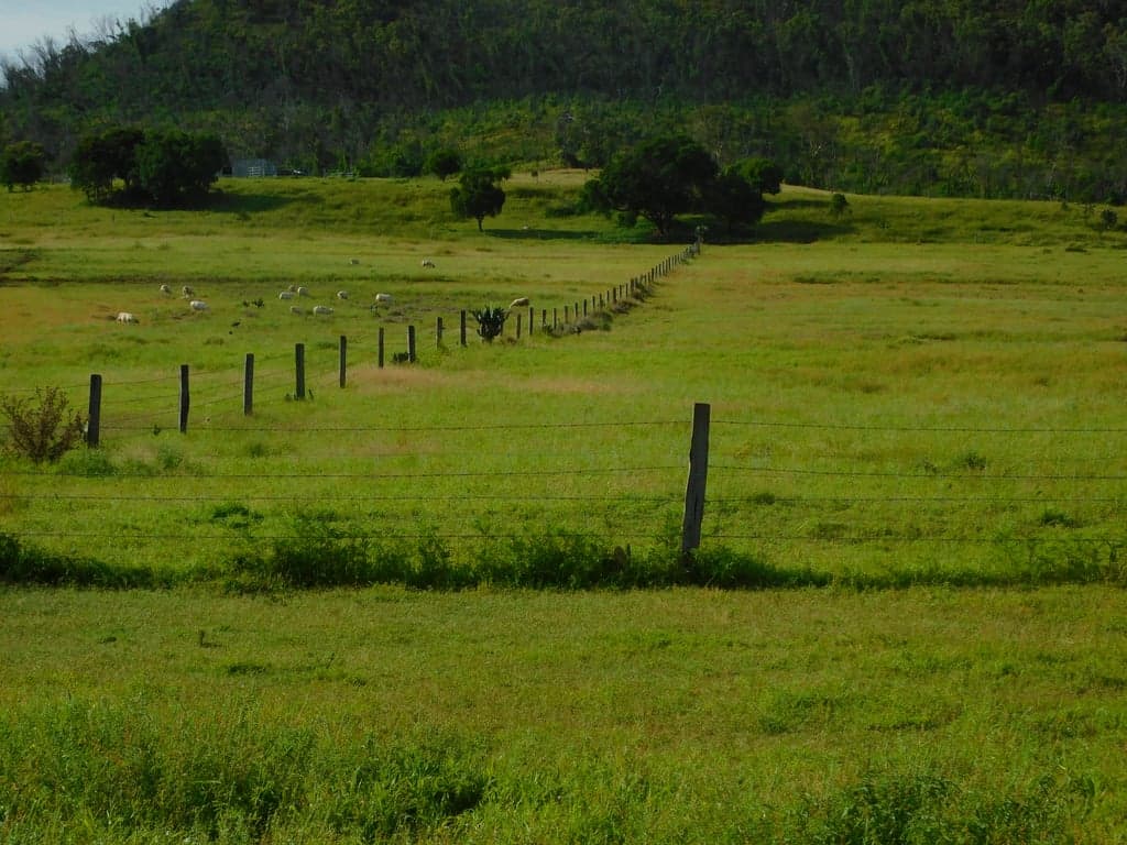 Farm Stay at Bring your own horse, access to wonderful trail rides, Yangan, QLD (photo 7)