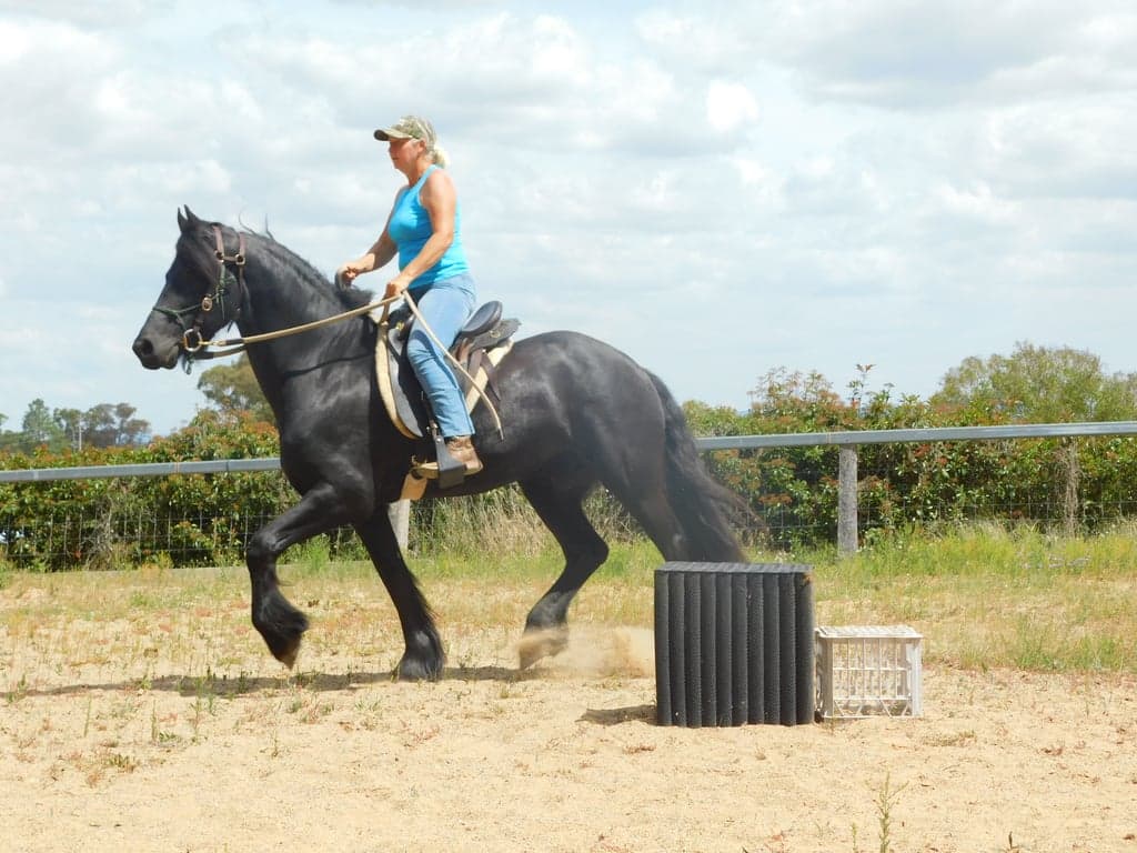 Farm Stay at Bring your own horse, access to wonderful trail rides, Yangan, QLD (photo 9)