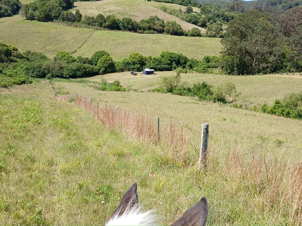 Homeville Horse Camp Farmstay, Elands, NSW (photo 3)
