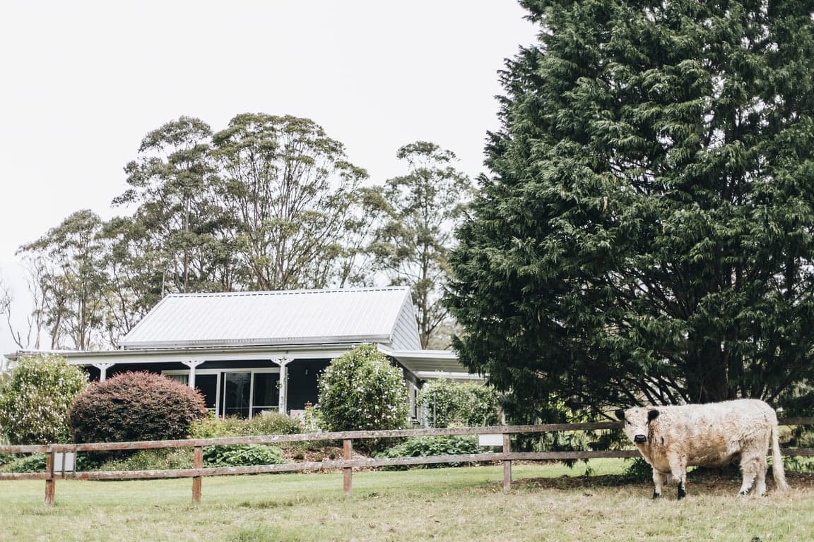 Farm Stay at Stylish cottage accommodation + horse paddock/stable., Berry, NSW (photo 3)