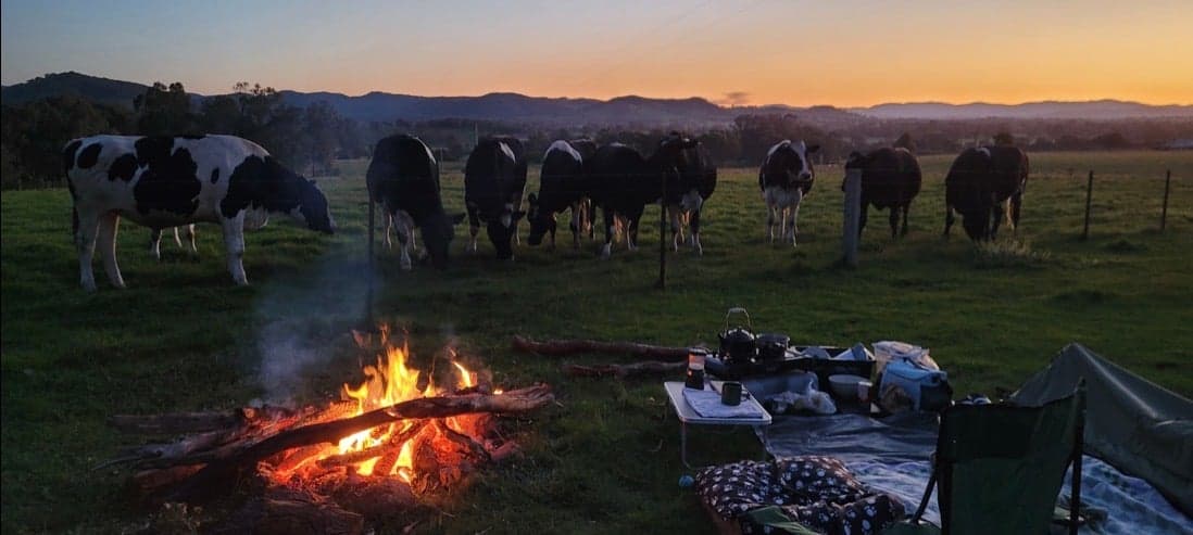 Farm Stay at Molyullah Equine - camping & yards, obstacles & arena (photo 8)