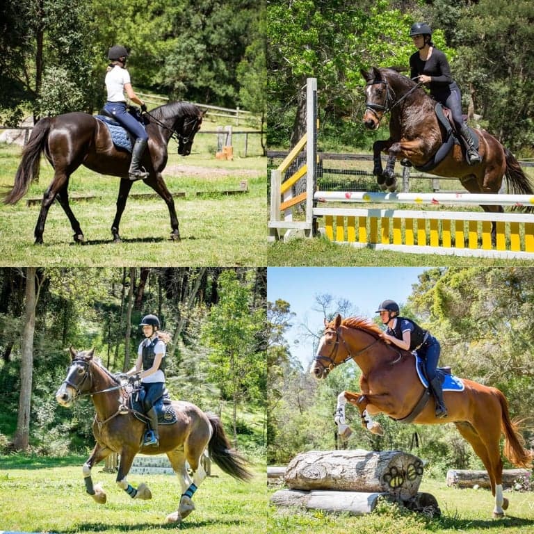 Farm Stay at Stay and play with your horse, Fernances Crossing, NSW (photo 10)