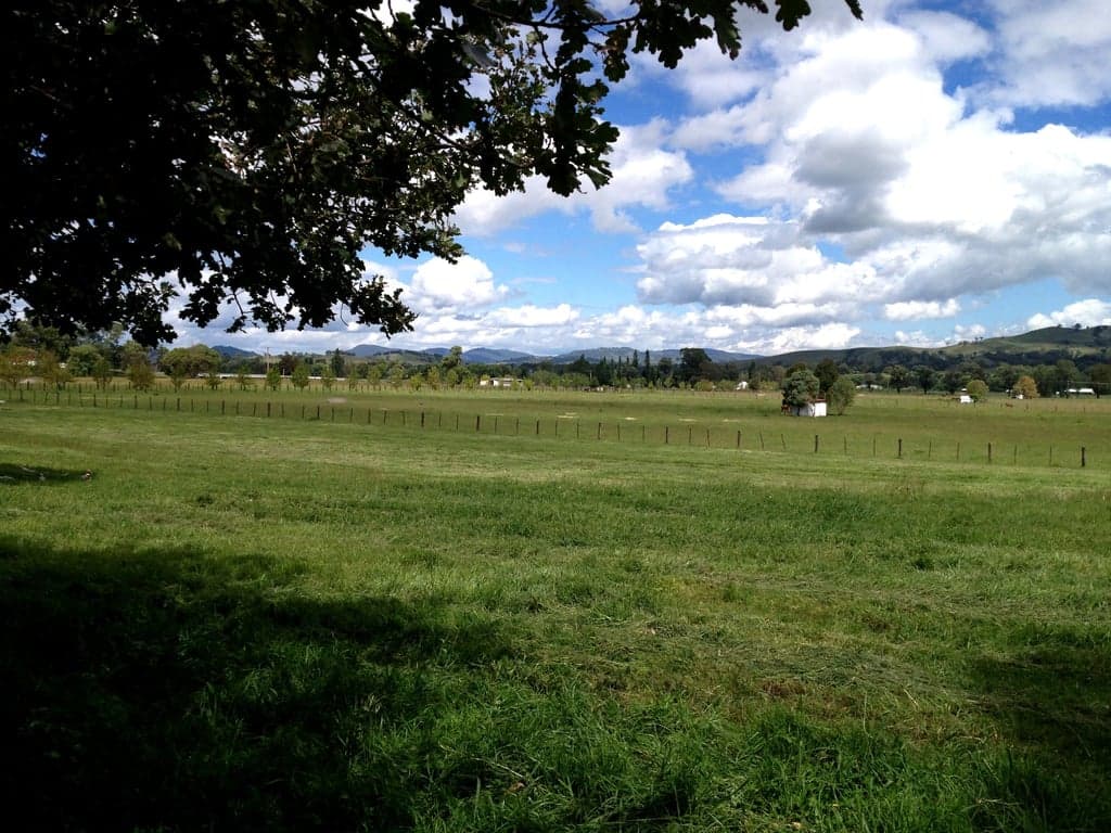 Overnight Horse Accommodation, Blandford, NSW (photo 4)