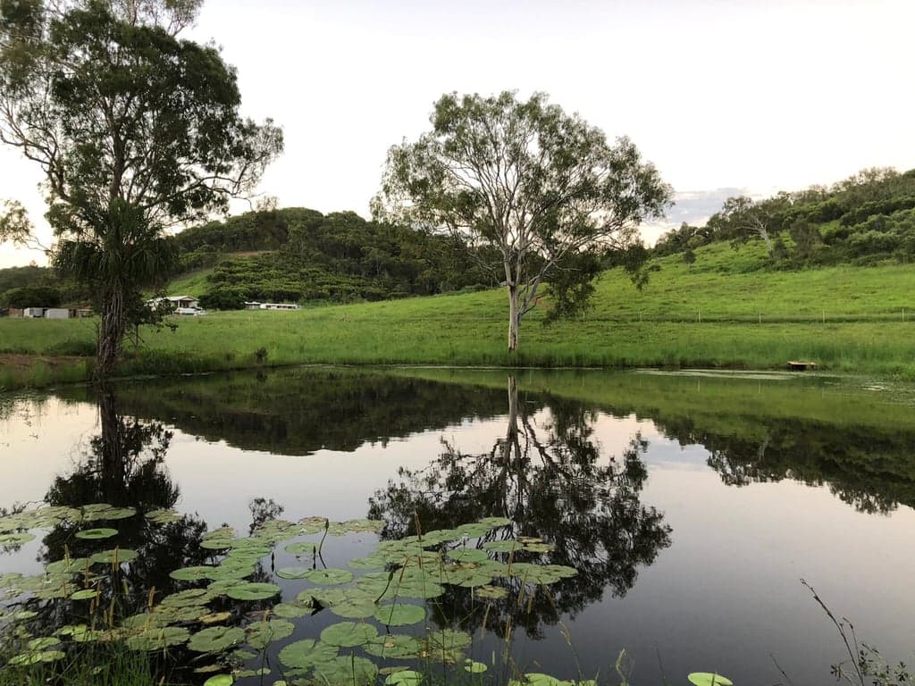 High Valley Dawn Permaculture Farm Stay – Horses Welcome, Rosslyn, QLD (photo 6)