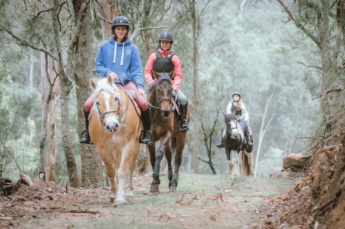 Farm Stay at Stay and play with your horse, Fernances Crossing, NSW (photo 7)