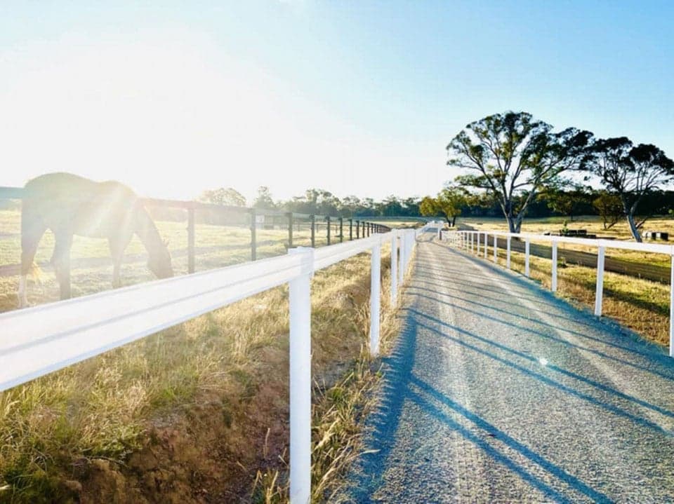 Farm Stay at Entire House, Large Pool Bar and 250 acre Horse Farm, Gundaroo, NSW (photo 10)
