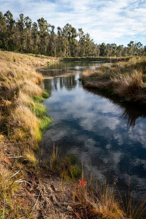 Farm Stay at Cabin and Horse Stay on the Escarpment, Sassafras, NSW (photo 9)