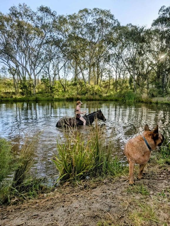 Farm Stay at Donnellys Castle Bush & Horse Paddock Camping, Pozieres, QLD (photo 2)