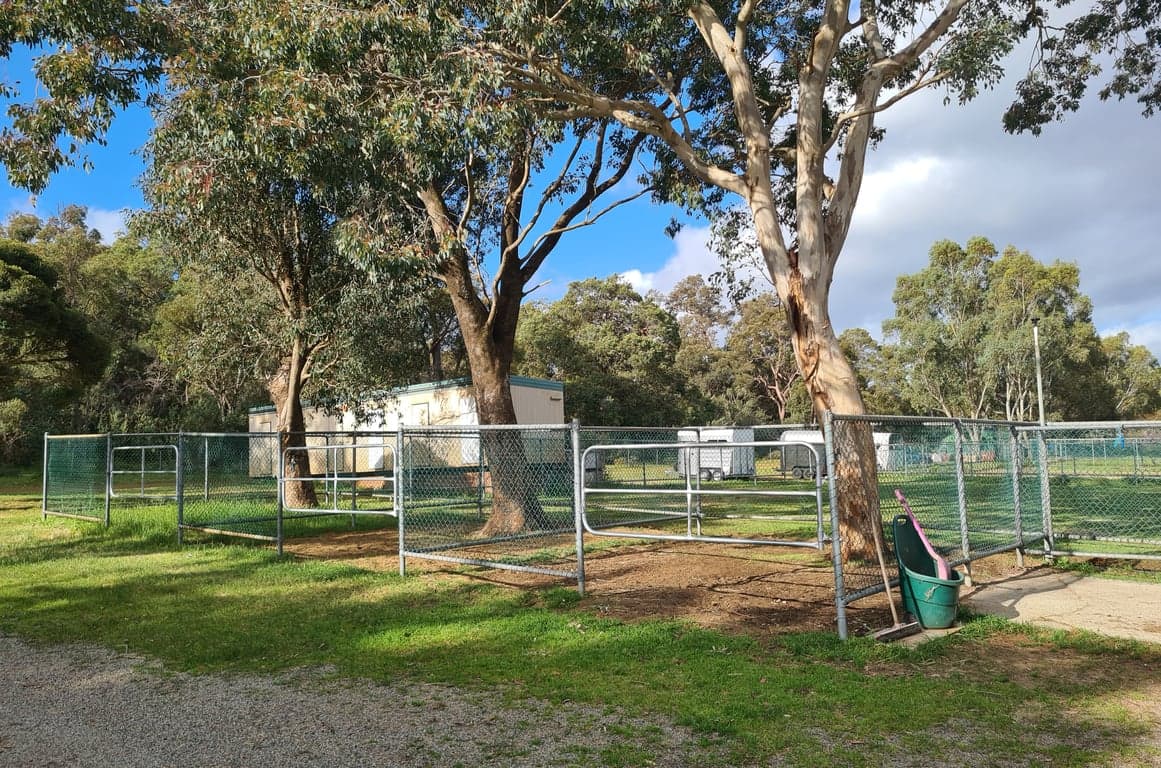 Farm Stay at Equestrian 5 star horse riding facility., Bedfordale, WA (photo 6)