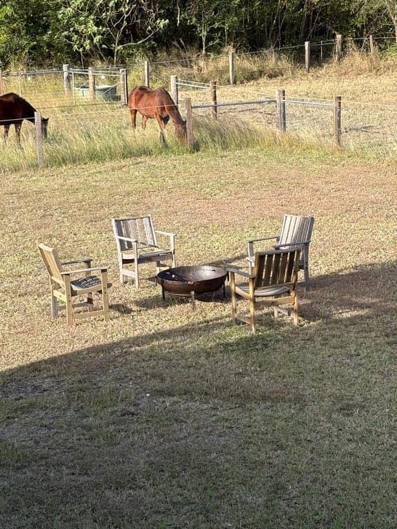 Farm Stay at 3 bedroom renovated Queenslander on 10 acres, Mount Alford, QLD (photo 8)