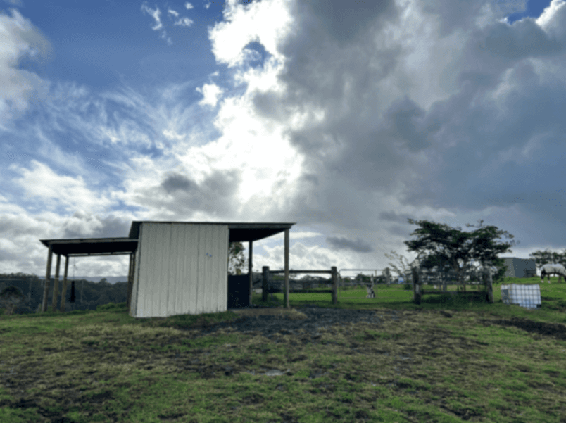 Thumbnail 3 of Hi-Class Equestrian Agistment