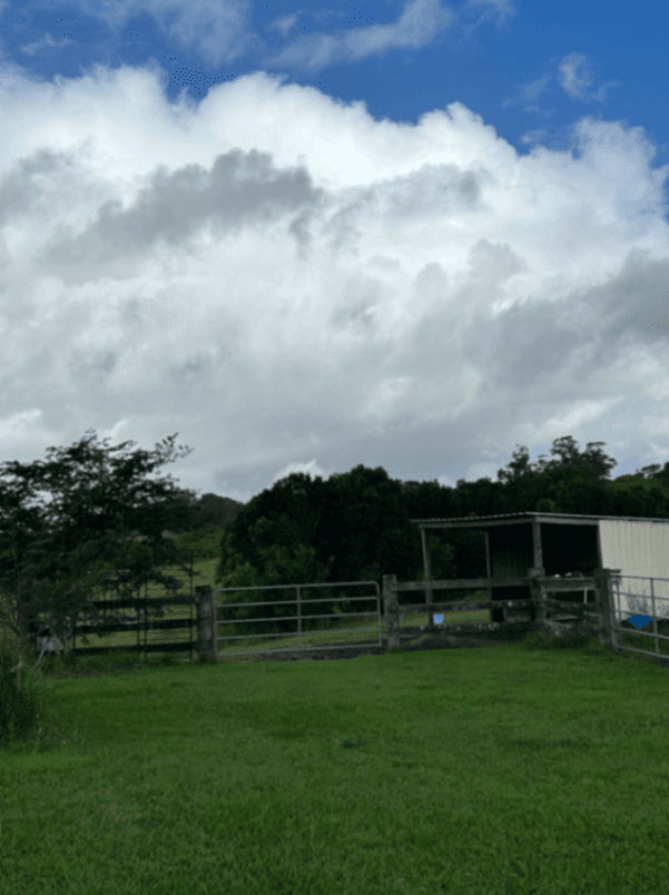 Thumbnail 5 of Hi-Class Equestrian Agistment