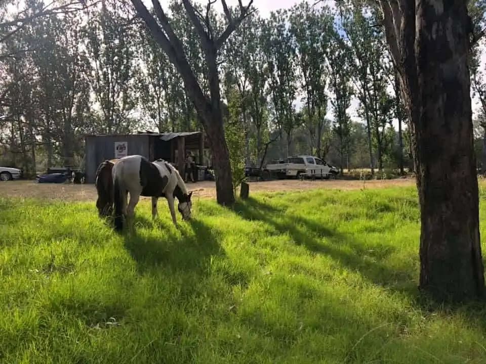 Photo of Lilliput Park Equestrian Centre