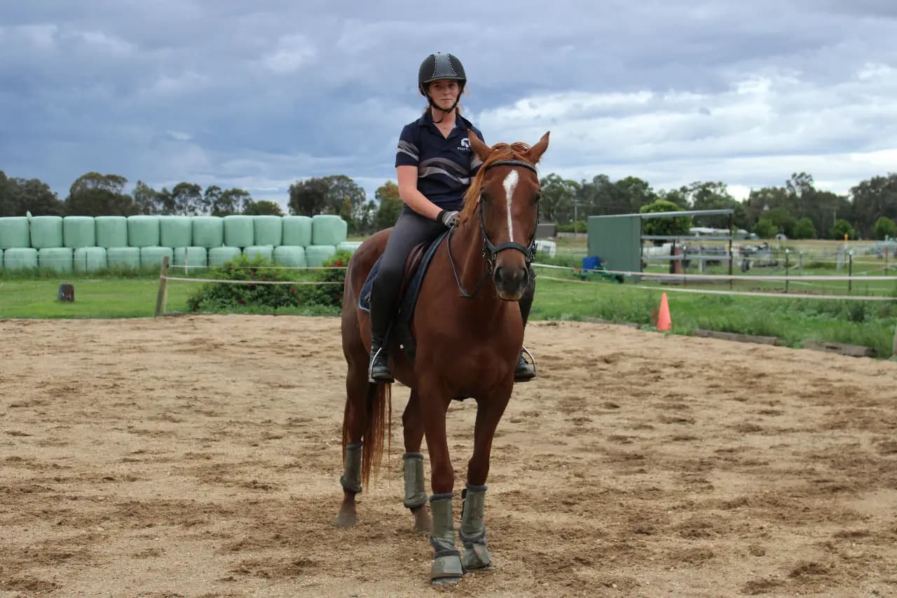 Thumbnail 6 of Lilliput Park Equestrian Centre